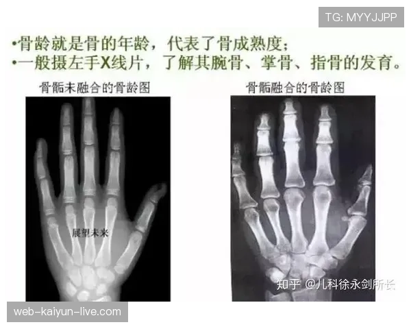 青少年规则中年龄界定与资格判定标准 青少年规则中年龄界定与资格判定标准