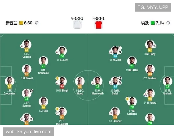 新西兰对埃及回顾：1-3失利影响出线希望